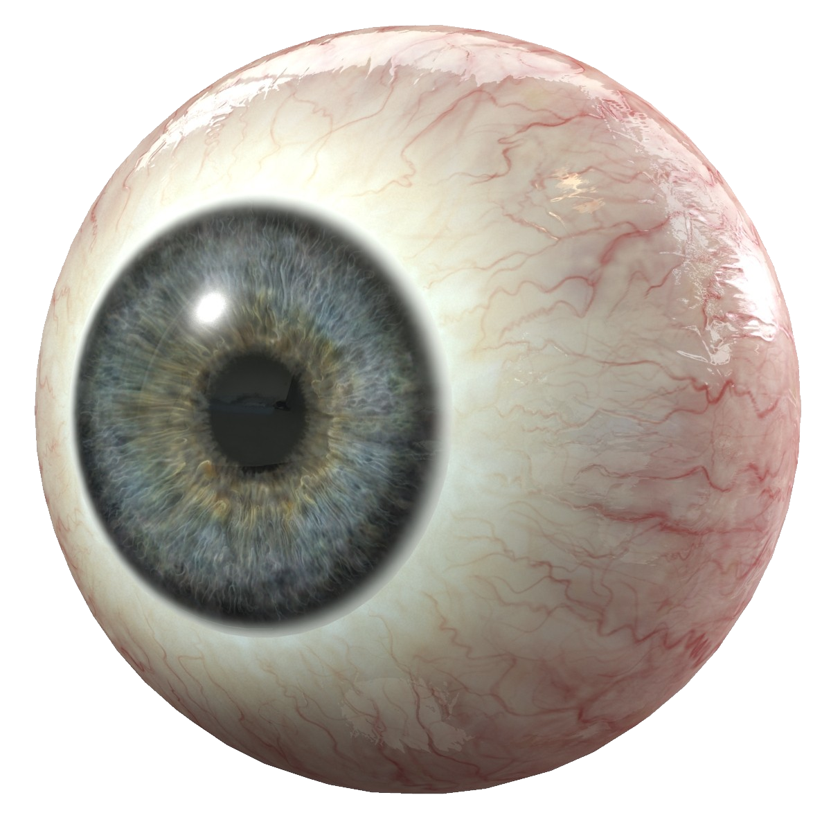 glass eye
